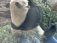 -石家庄市动物园