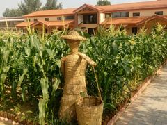 -意大利农场度假村