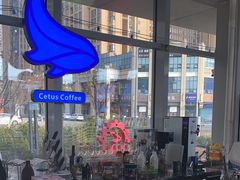 -Cetus coffee鲸鱼座咖啡·拼豆(二仙桥公园店)