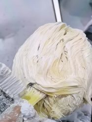 -时尚码头