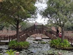 -五缘湾湿地公园