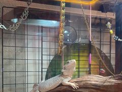 -梵薇Joker.V银饰工作室