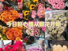 -盒马鲜生(岭南新世界店)