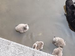 -杭州师范大学(下沙校区)