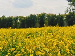 -中国天府农业博览园