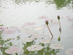 -遵义会议纪念馆