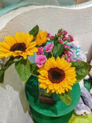 -薇薇安花系SPA