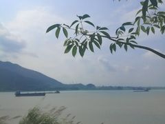 -羚羊峡古栈道森林公园