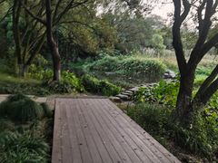 -野蔓果·山野菜(西湖景区·龙井茶田店)