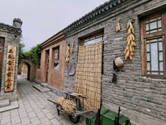 -白洋淀景区