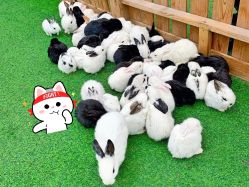 -萌宠亲子动物乐园(槐房万达店)