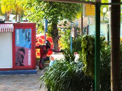 -重庆海昌加勒比海水世界