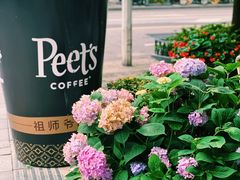 -Peet's Coffee皮爷咖啡(大学路店)