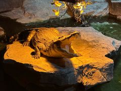 -泉城欧乐堡海洋极地世界