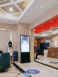 -碧莲盛·不剃发植发