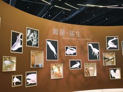 -香港科学馆
