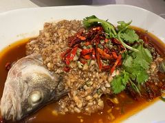 -杨氏青龙虾·羊蝎子(托乐嘉店)