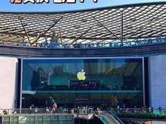 -Apple零售店(天环广场店)