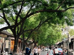 -北京国子监胡同