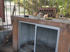 -祥源·阜阳生态乐园