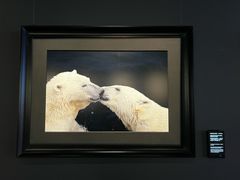 -罗红摄影艺术馆