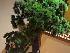 -揽季锅物会.福建黄鱼.海鲜姿造(五四路店)
