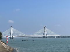 -北海金海湾红树林生态旅游区