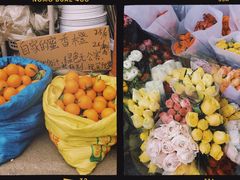 -桂林市花鸟市场