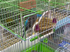 -宠爱我(南山店)