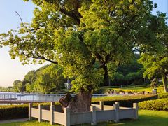 -东钱湖旅游度假区