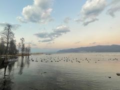 -大理洱海