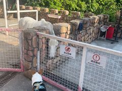 -J Create城市露营咖啡·简餐·宠物(上海动物园店)