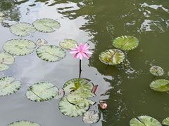 -云溪植物园