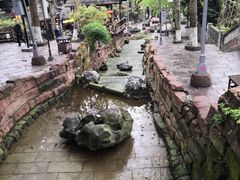 -黄龙溪古镇