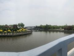 -呼兰河口湿地公园