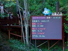-汤旺河林海奇石景区