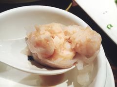 -南拳十三姨·潮汕砂锅粥(世纪金源店)