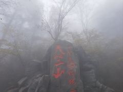 -秦岭天竺山生态文化旅游景区