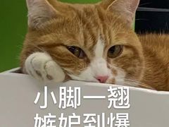 -YOGO优果密室逃脱(新佳丽广场店)