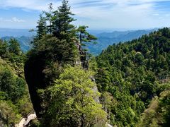 -秦岭天竺山生态文化旅游景区