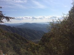 -王顺山国家森林公园