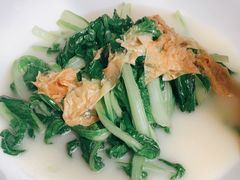 腐竹白菜苗-民族饭店-四季餐厅