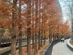 -白水寺森林公园