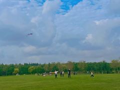 -上海海湾国家森林公园