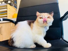 -红星电影世界开元地中海店(RealD杜比全景声)