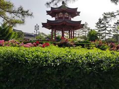 -大慈恩寺(大雁塔)