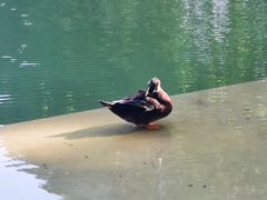 -河南省黄河迎宾馆