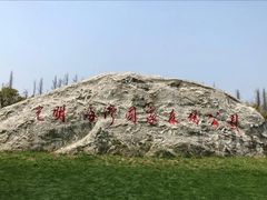 -上海海湾国家森林公园