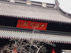 -灵谷景区