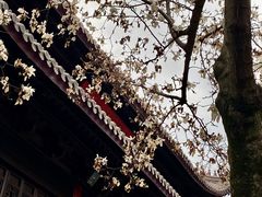 -灵谷景区
